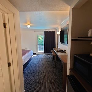 King Renovated Room Pool View
